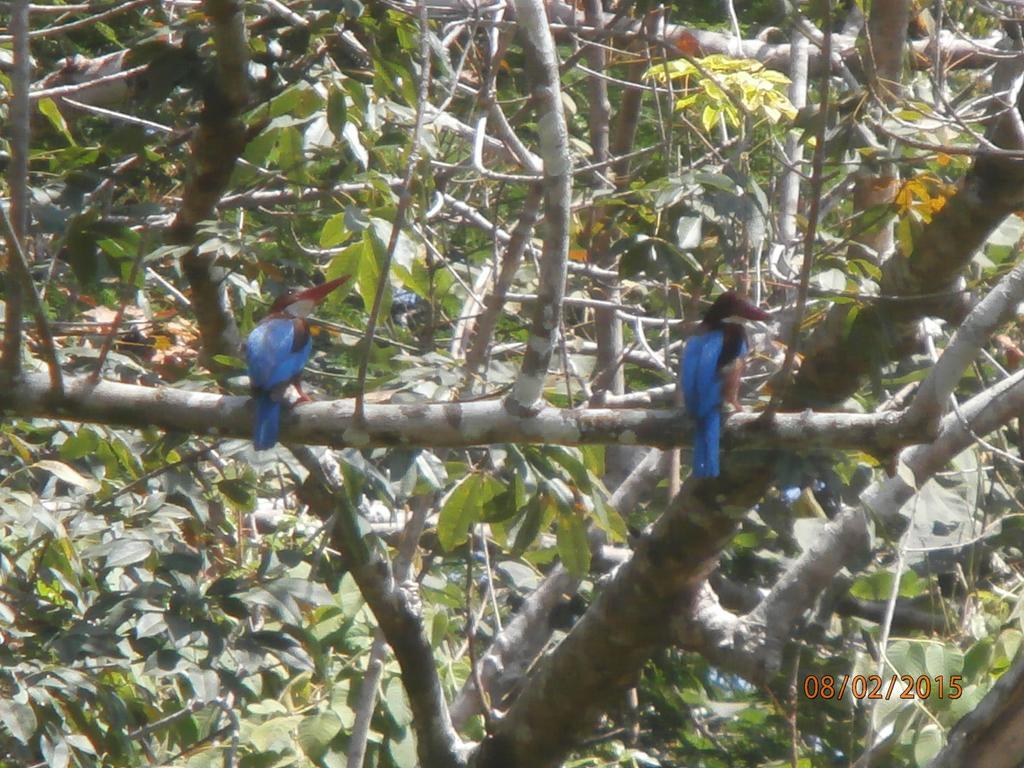 מלון Fiji Palms Phuket מראה חיצוני תמונה