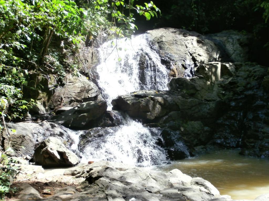 מלון Fiji Palms Phuket מראה חיצוני תמונה